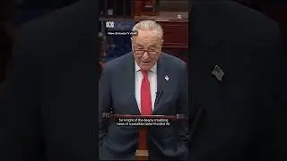 Senate Democratic leader say&rsquo;s he&rsquo;ll hold up nominations until he gets answers on plane | ABC NEWS