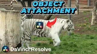 DaVinci Resolve Object Tracking Tutorial - Attach & Track Objects in Color Page (Step-by-Step)