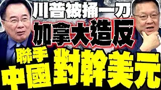 川普被捅刀 加拿大造反了 介文汲.蔡正元重磅:和中國本幣互換就是跟美元對幹