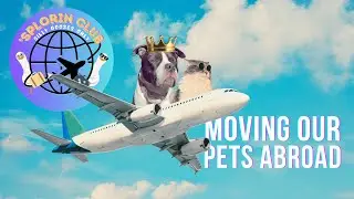 Moving Our Pets Abroad: Updates!