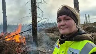 Metsolan Metsäkoulu 353 - Säästöpuuryhmiä kulottamalla monimuotoisuutta metsiin!