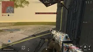 Call of Duty_mad loop
