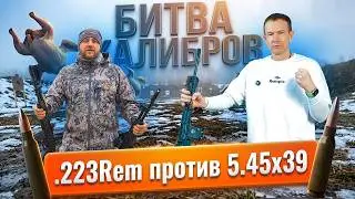 5.45×39 vs. .223 Remington: Which is More Accurate, Faster, and More Vicious? TEST: Which Caliber...
