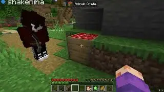 Мир 