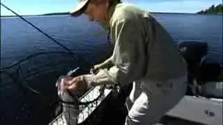 Kamex Ko : RAPALA Deep Tail Dancer