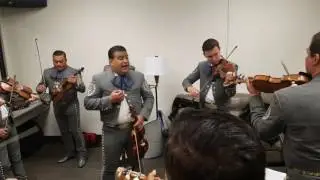 Popurrí José Alfredo Jiménez - mariachi nuevo tecalitlan(2)