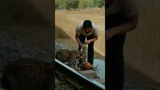 एक महिला ट्रेन से ज्या रही है #ai #tree #animals #viral #emotional
