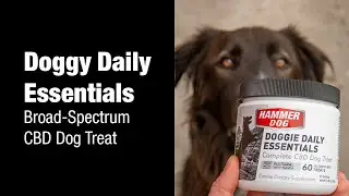 Doggy Daily Essentials CBD dog treat - Product Spotlight with Brian Frank