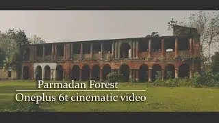 Early morning a short trip to Bongaon parmadan forest | oneplus 6t cinematic video