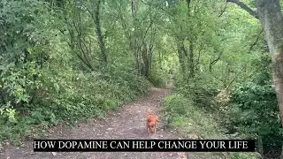How dopamine can help change your life.