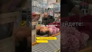 Тут якісні квіти, тут великий асортимент, тут вам раді - це FLORISTE OPT 📲0932872828