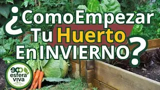 Empieza tu huerto en invierno y lo agradeceras en primavera  | 8 pasos pr&aacute;cticos y f&aacute;ciles