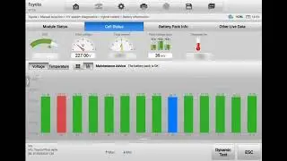 Pre purchase inspection Toyota Prius hybrid battery capacity test by Incar Automotive 