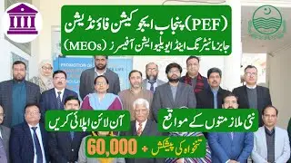 Punjab Education Foundation PEF Jobs 2025  Apply Online for Monitoring & Other Positions