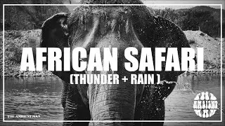AFRICAN SAFARI RAIN + THUNDER | 8 HOUR Deep Sleep, Meditation, Study & White Noise (THE AMBIENT MAN)