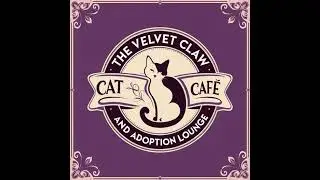 The Velvet Claw - Cat Cafe and Adoption Lounge in Partnership with Meow and Forever Cat Rescue #love