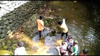 NAVAKERALA MISSION WORK DETAILS AVOLY GRAMA PANCHAYTH WARD-7