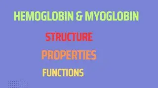 Haemoglobin & Myoglobin| Structure, properties & Functions| Hemoglobin
