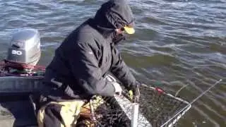 Jerkfest 2012 official video (Джеркфест 2012)