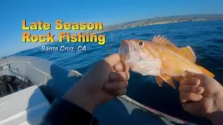 Late Season Rock Fishing - Santa Cruz 12-29-20