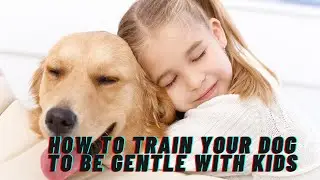 How to train your dog to be gentle with kids