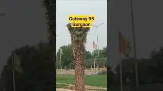 Gateway 95 Gurgaon plots for sell | Ghar Or Dukan | call for more details 9711480921