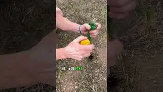 Found a Ground Squirrel Hole? Time to take action! 🐿️