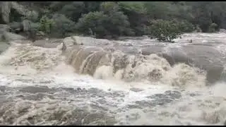 Palar River in TAMILNADU Flood#palarflood#riverflood#floodtamilnadu