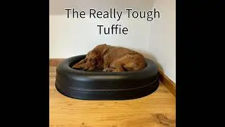 The Really Tough Tuffie. The chew-proof dog bed from Tuffies.