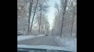 Snowlove 