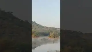 Thermal stratification......PS: that white bird 🕊️ flew just to make my video more beautiful🙃