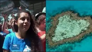 Greenpeace v roce 2015