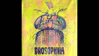 Imp - Narcotics (ft. Kaffo, the Sensei & Jarhead the Nobody) [prod. Fendi Pendergrass] | DROSOPHILA