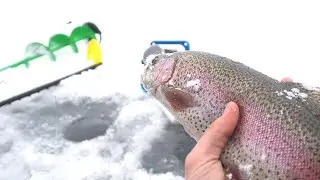 EARLY Ice Fishing for BIG Rainbow and Brook TROUT