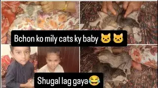 Bachon ko mili biliyan🐱🙆🏻&zwj;♂️😅sbny bht enjoy kya😅😅