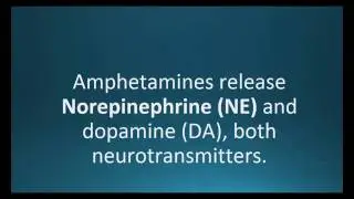 Norepinephrine (NE)  (Pharmcabulary for Memorizing Pharmacology Chapter 5 Neuro Flashcard)