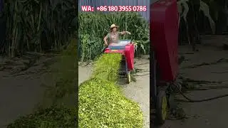 Horizontal grass cutter, crush corn stalks, rice straw, livestock feed