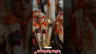 ಕುಡುಪು ಭಟ್ರ ಕಲ್ಲುರ್ಟಿ. ಕೋಲ ಬಲಿ ಸೇವೆ. #viral #shortsviral #viralvideo #kola