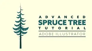 How to draw realistic spruce tree | Adobe Illustrator | Beginners