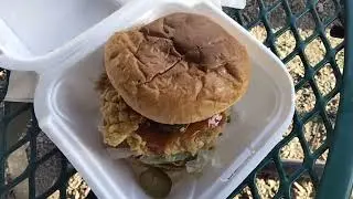 the REV fest vegan festival in OKC 👀