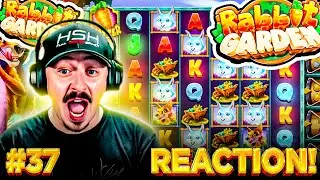 THE MAX WIN YOU'VE NEVER SEEN! | Reaction Episode 37