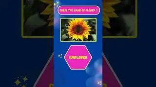 Flower Quiz Challenge! Ultimate Flower Quiz Challenge! #FloralQuiz #Flower #quiz #floral #challenge