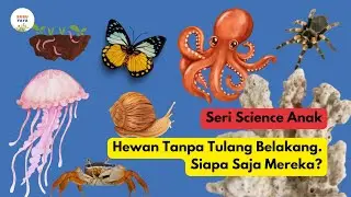 Mengenal Hewan Invertebrata/Tidak Bertulang Belakang | Serangga Moluska Cnidaria Cacing Arthropoda