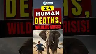 2025: Why Kerala Faces Rising Human-Animal Conflicts and Weak Wildlife Protections? 🐘🌳