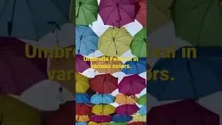 Colorfull Umbrella Ceiling Festival