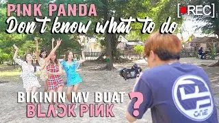 [Behind The Scene] BLACKPINK - Don't Know What To do (MV Ver. By PINK PANDA)