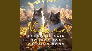Gentle Rain's Dog Harmony