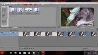 Pause your video in Sony Vegas- The Right Way