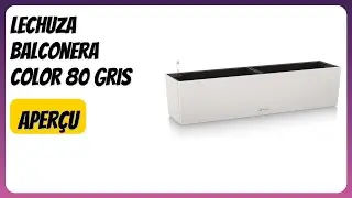 AVIS (2026) : Lechuza Balconera Color 80 Gris. D&Eacute;TAILS