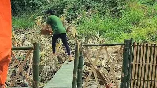Single Mom Builds a Bamboo Table and Upgrades the Bridge Railing in the Forest